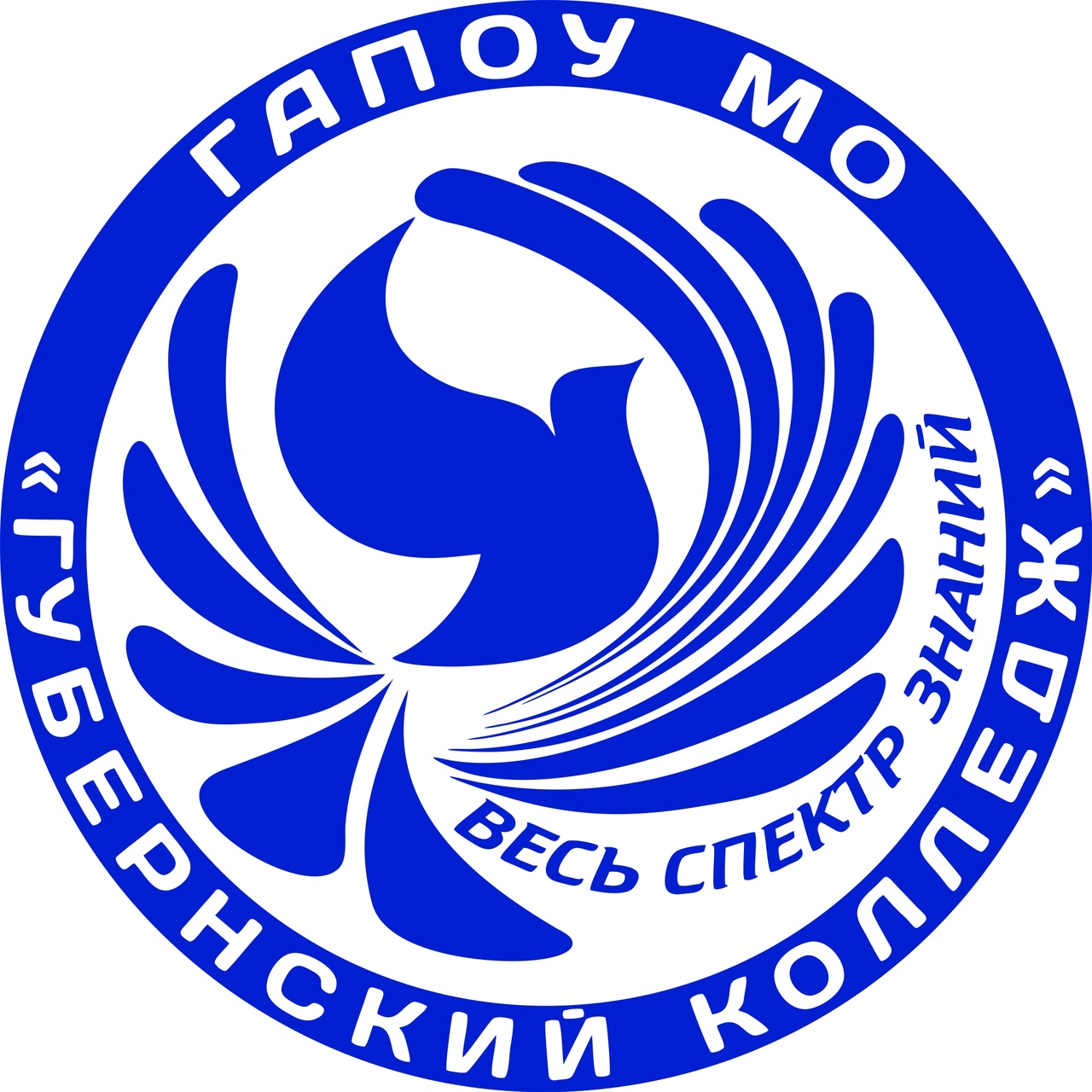 группа в контакте